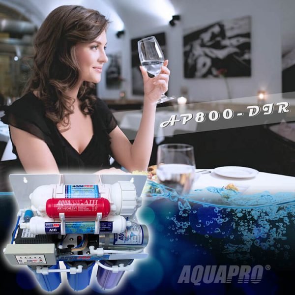 ap800-dir_post-1N-T ap800-dir_post-1N-T